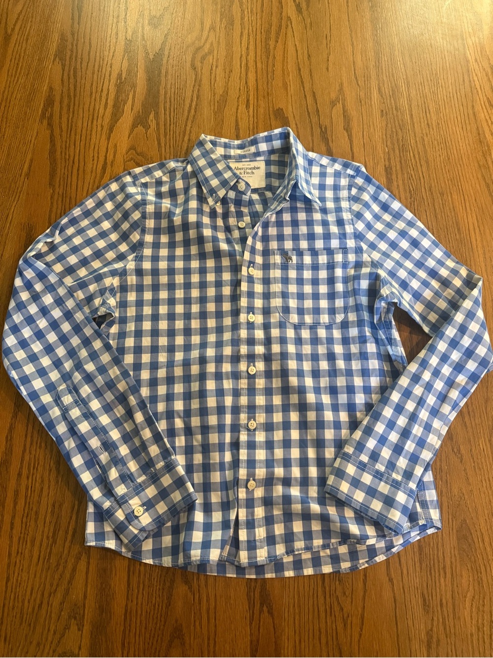 Abercrombie & Fitch Light Blue and White Gingham Button-Down Shirt